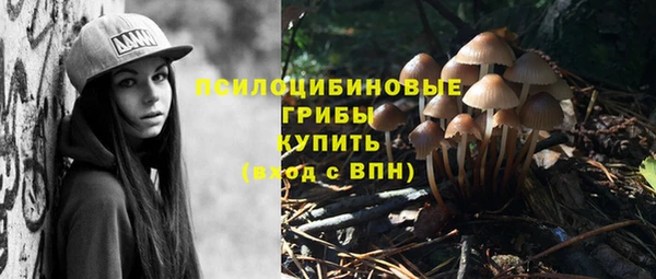 марки lsd Алексеевка
