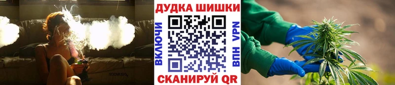 МЕГА онион Курчалой Бошки марихуана план